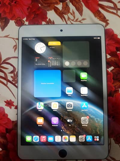 Mini5 256gb