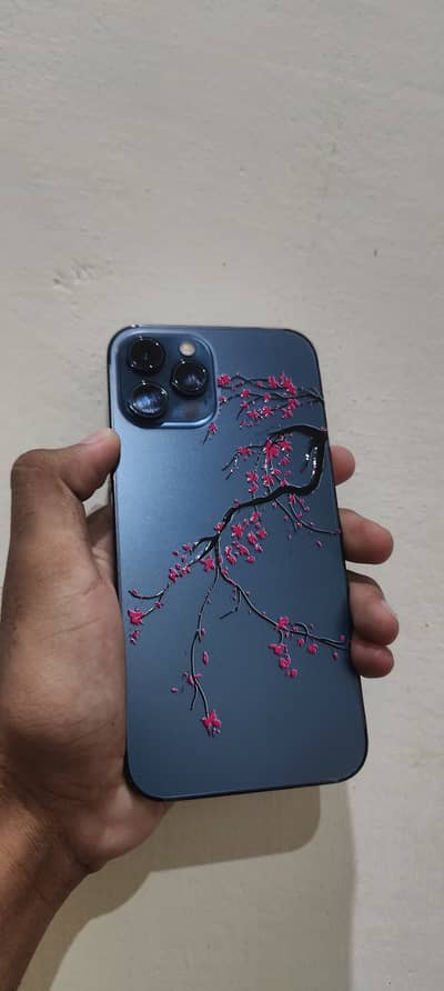 Apple iPhone 12 Pro Max