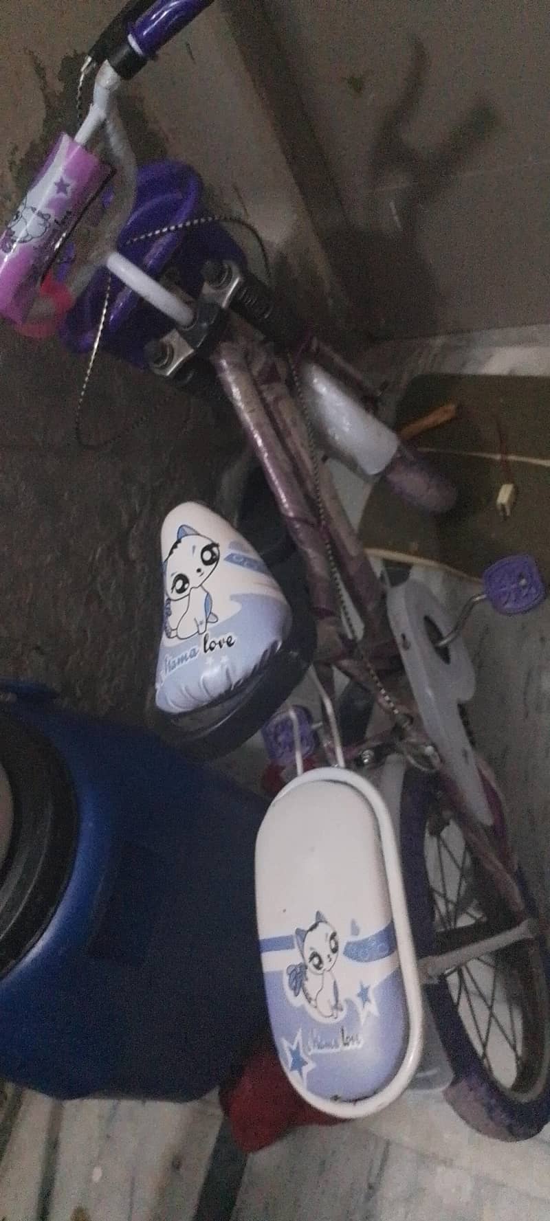 cycle 0