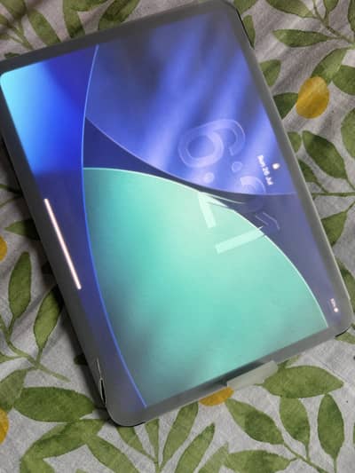 ipad Pro 11 inch M5 256gb