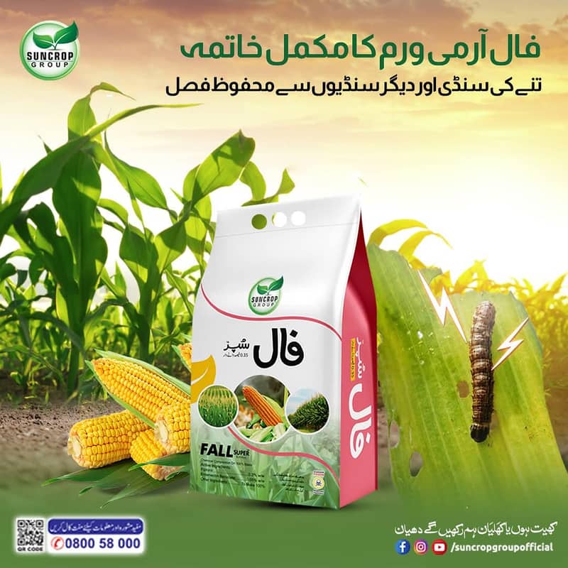 مکئی  کی فال آرمی ورم کے لیے 0