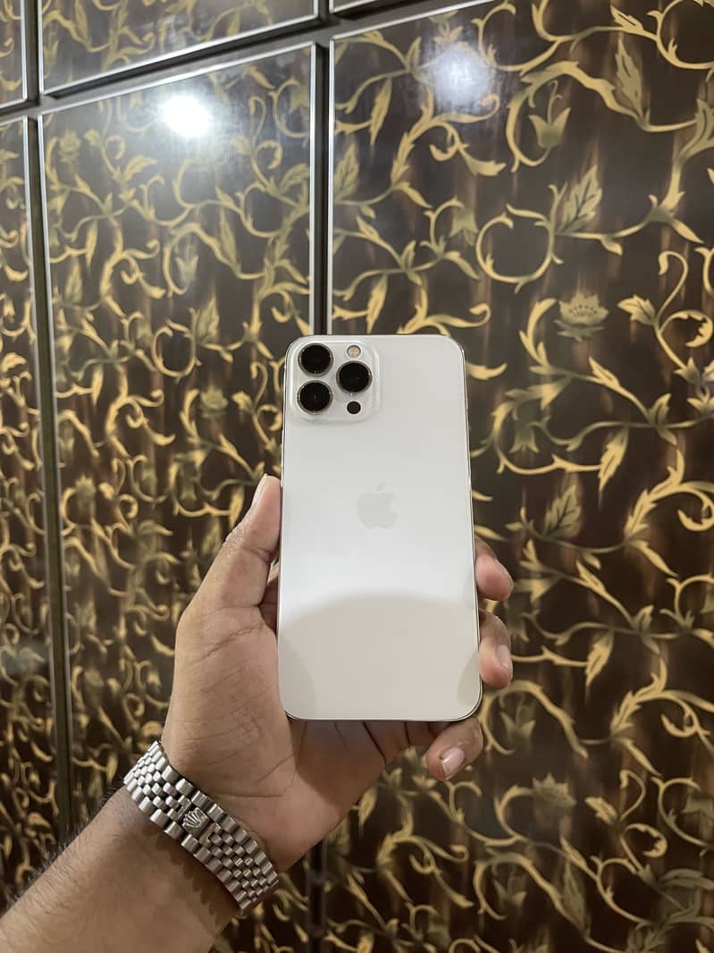 Apple iPhone 13 Pro Max 0