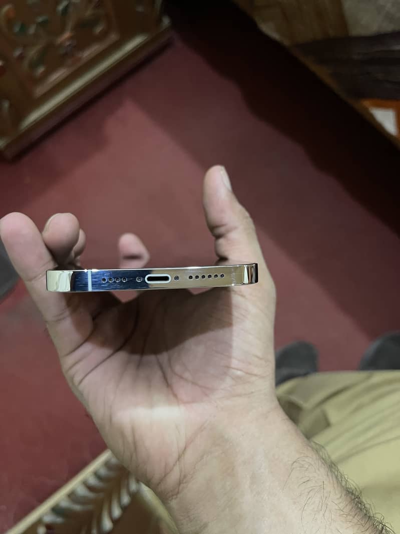 Apple iPhone 13 Pro Max 1