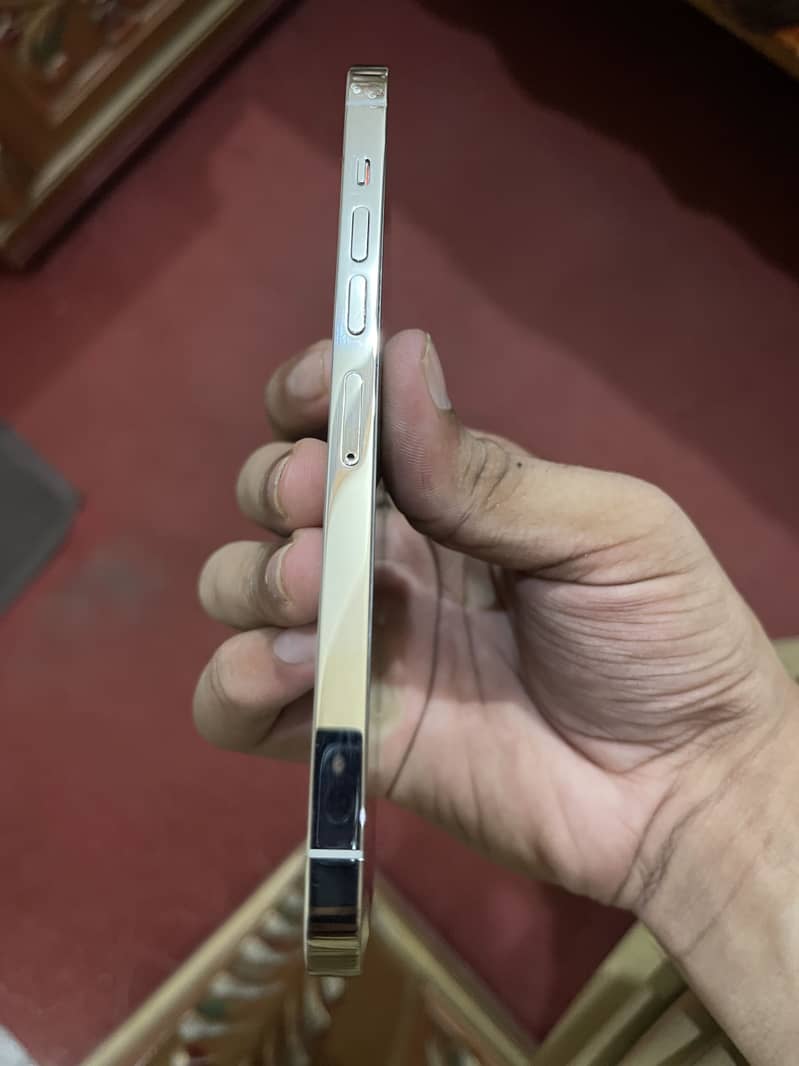 Apple iPhone 13 Pro Max 2