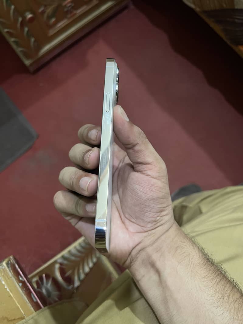 Apple iPhone 13 Pro Max 3