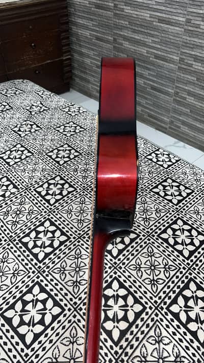 Guitar Swift horse