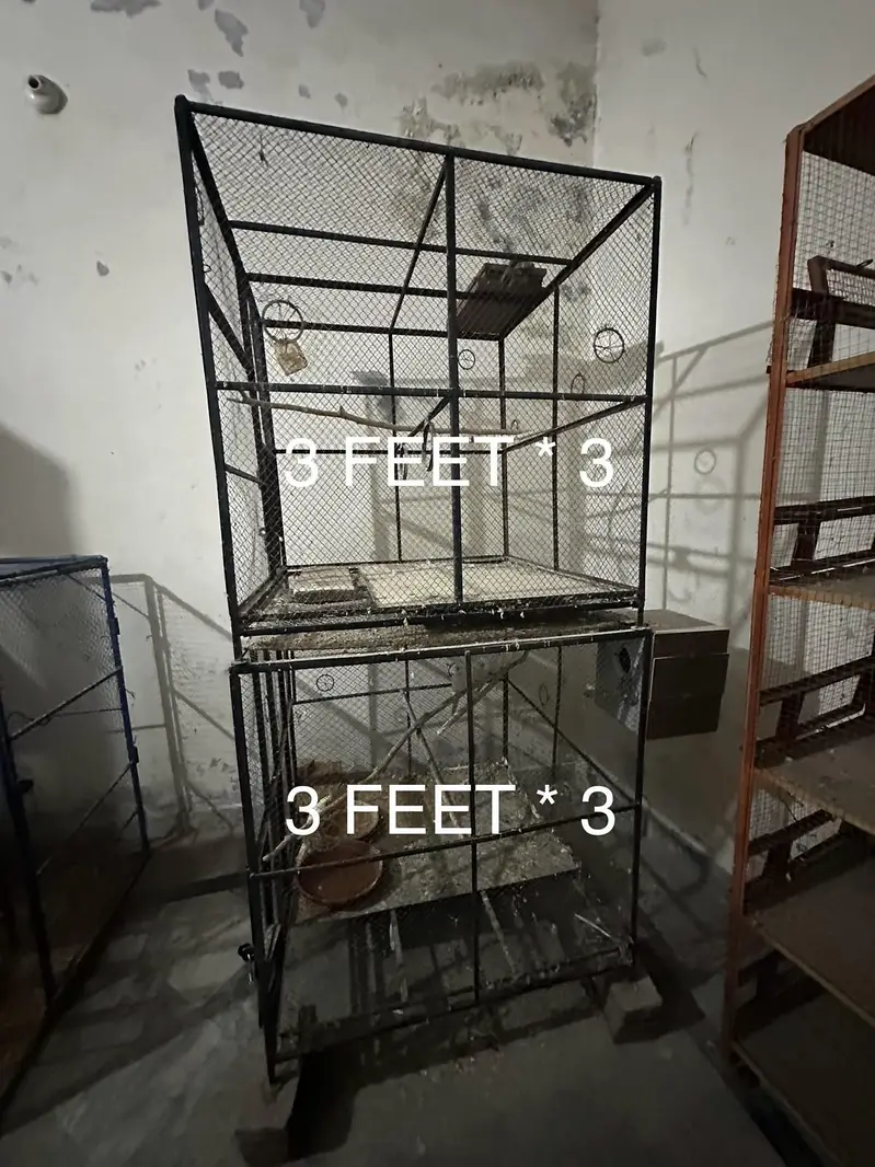 Cages in Best Condition High Grade Metal — photo 2