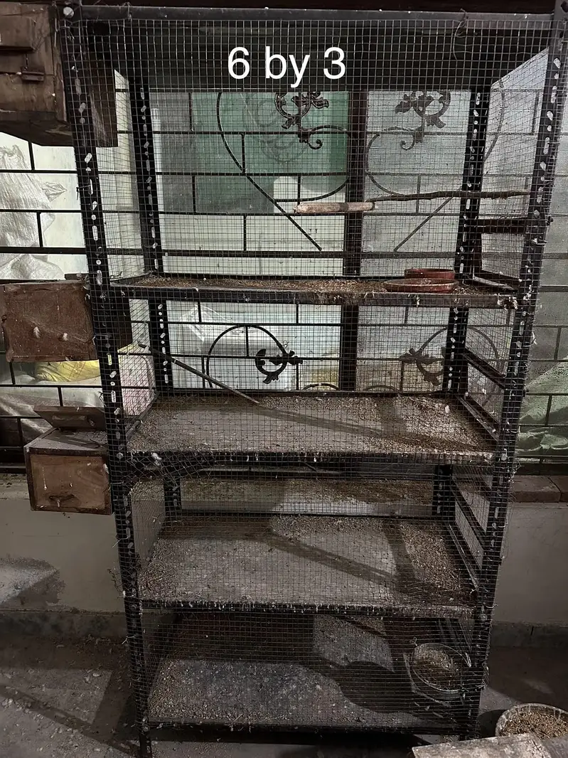 Cages in Best Condition High Grade Metal — photo 4