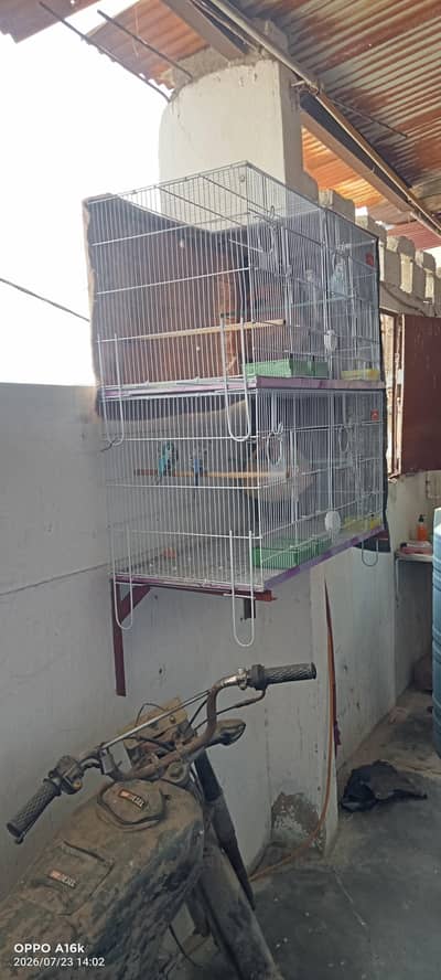 hogoromo or cage