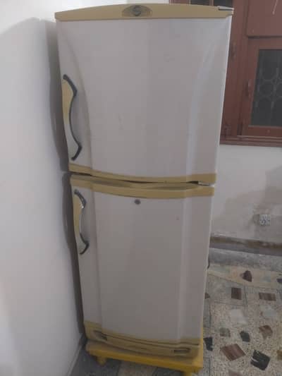 Good working pel medium sized refrigerator for sale