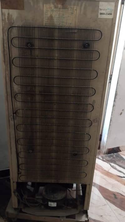 Fridge/Refrigerator