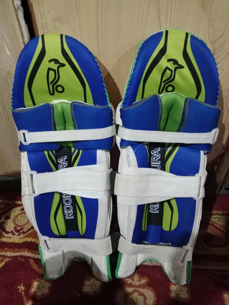 Cricket kit 1