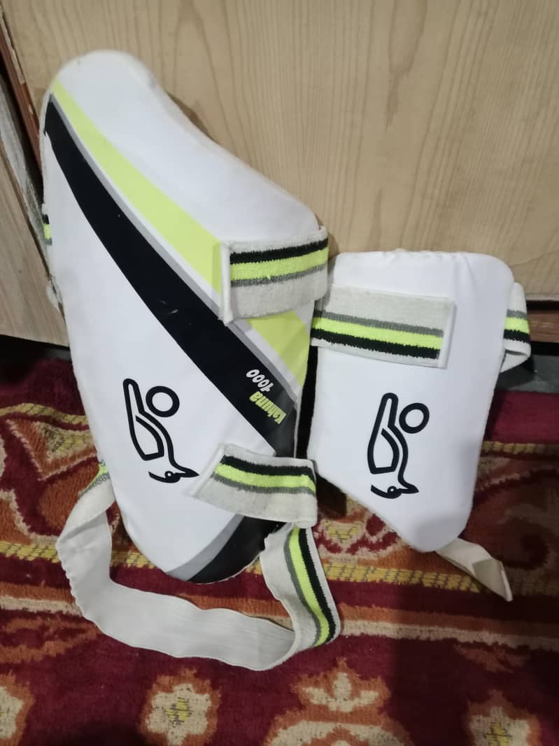 Cricket kit 4