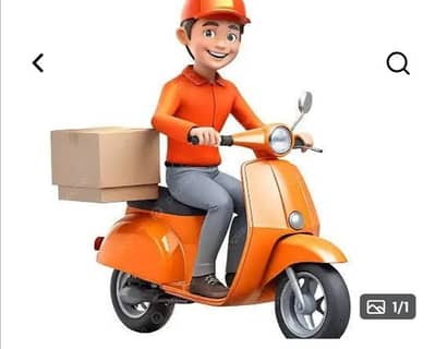 vip courier