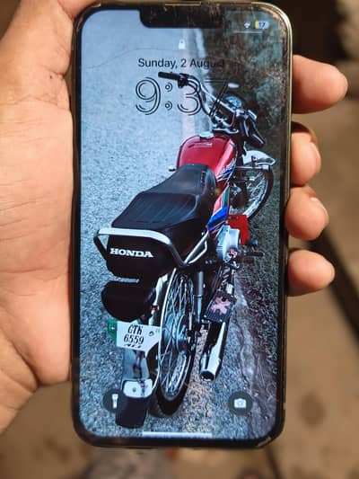 Apple iPhone 13