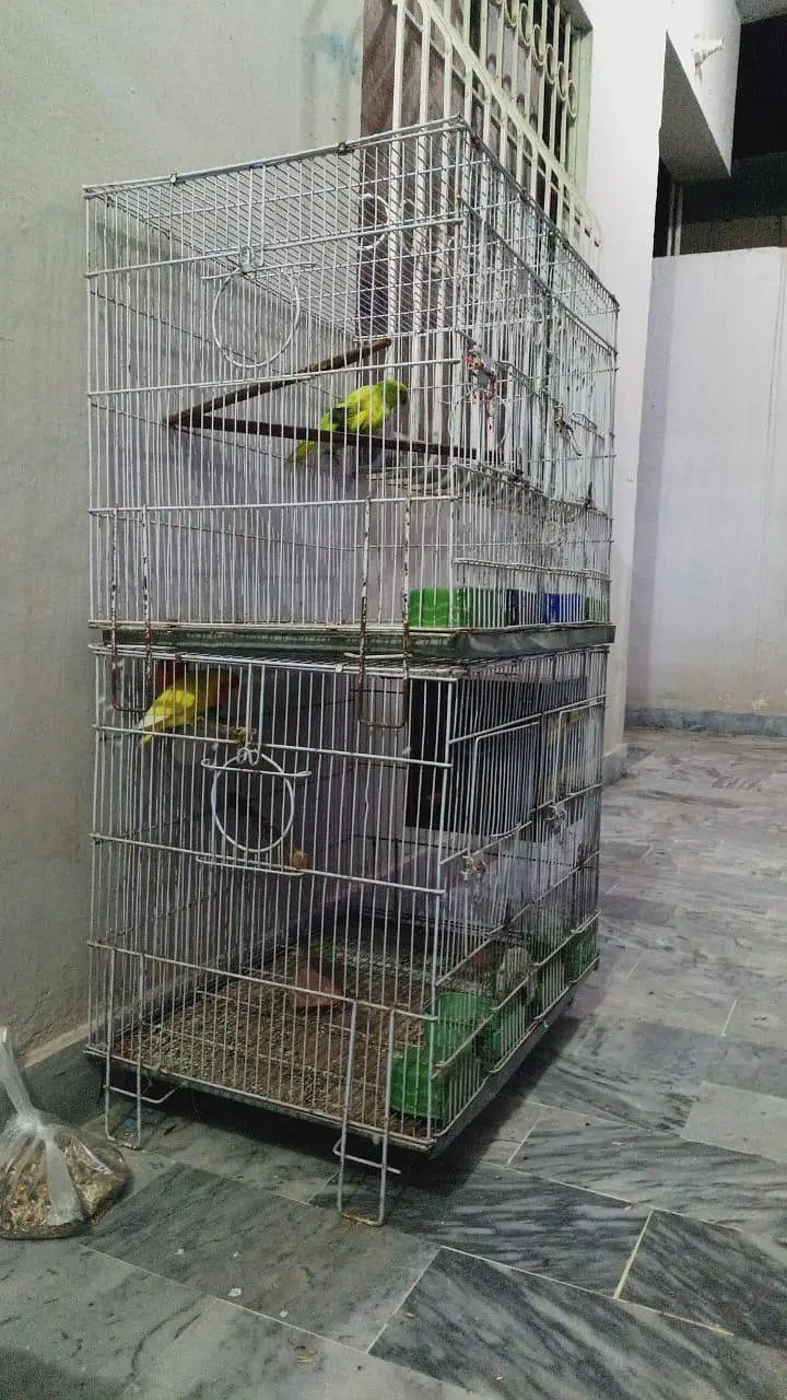 Bird cage — photo 4