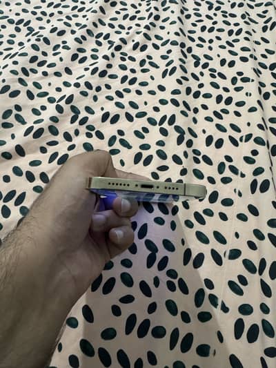 Apple iPhone 13 Pro Max fu pannel mein line hai