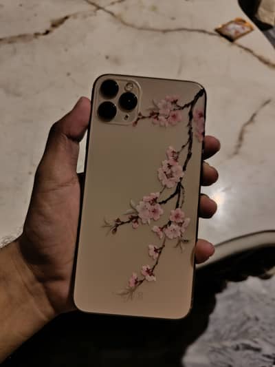 Apple iPhone 11 Pro Max
