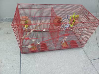 Beautiful Australian birds for Sale  with Big Cage