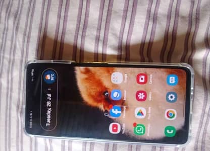 Samsung Mobile M31s