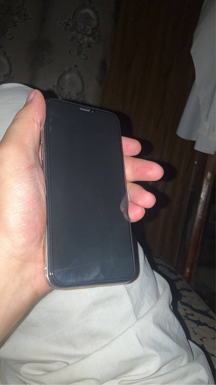 Apple iPhone X 1