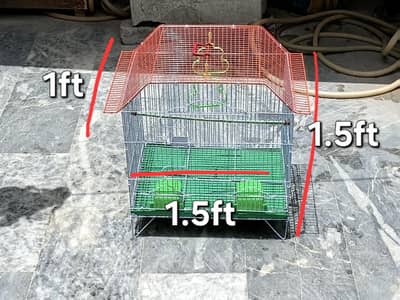 parrot cage