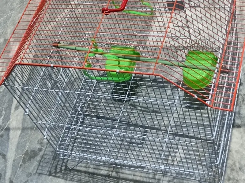 parrot cage — photo 4