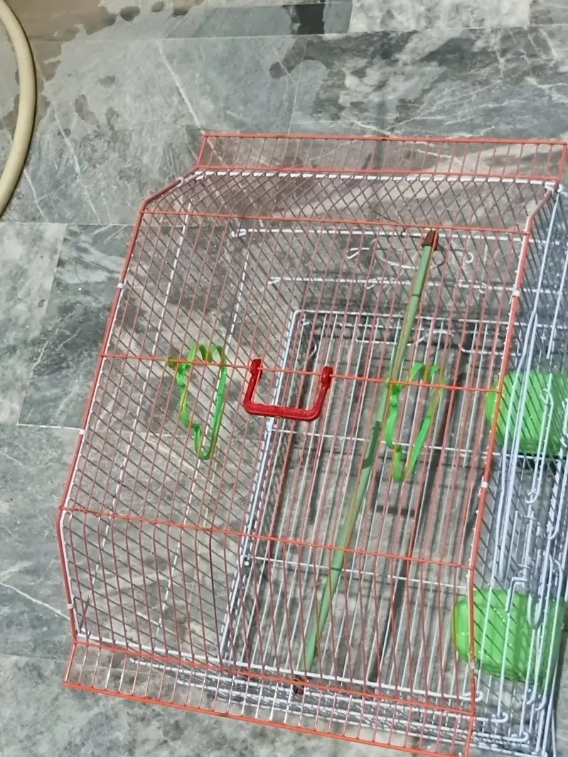 parrot cage — photo 6
