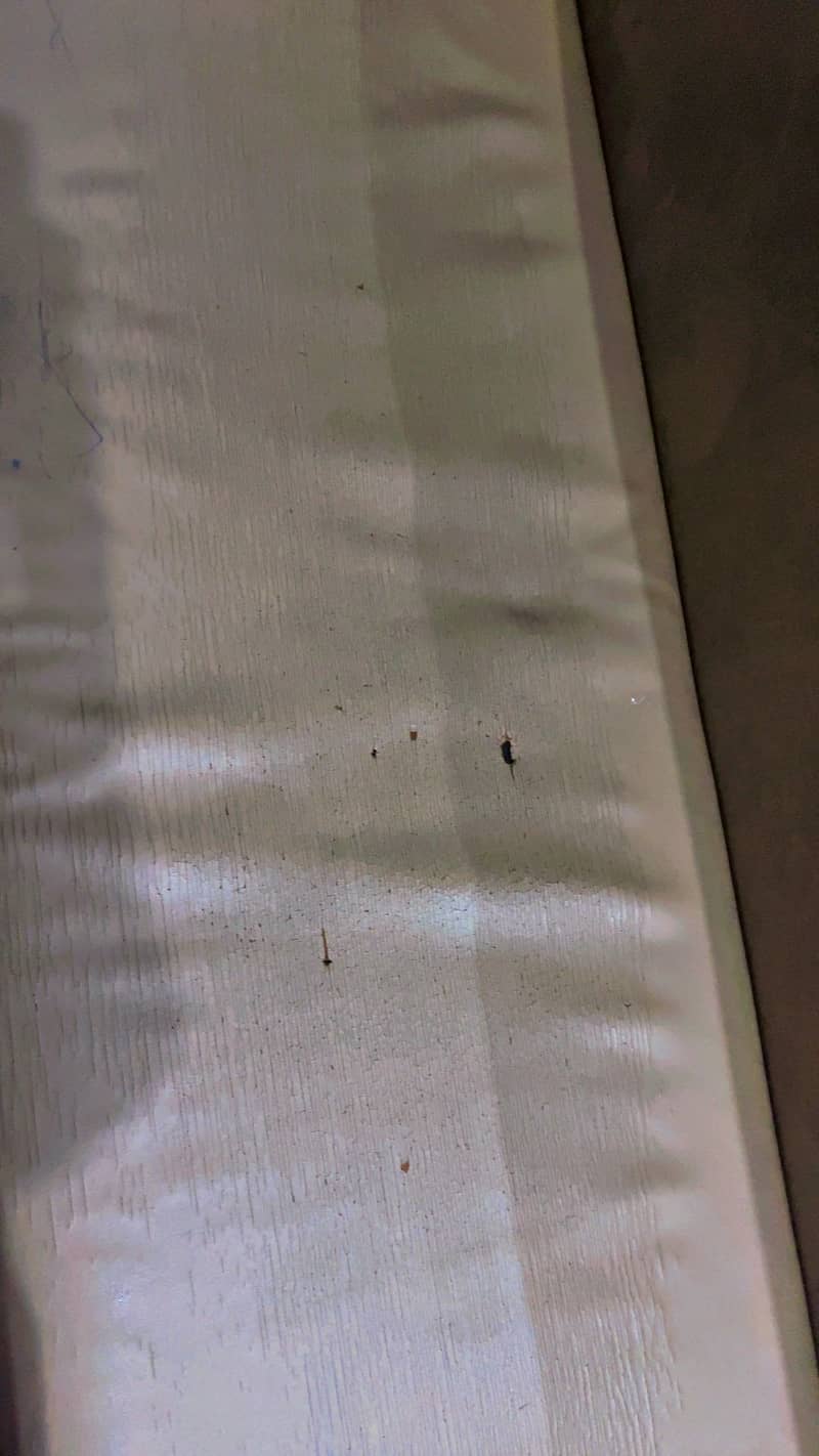 Sofa Cumbed 1