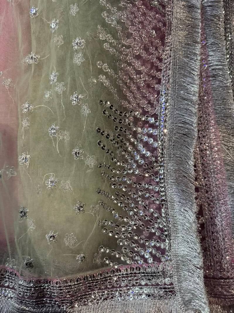 Chiffon 2