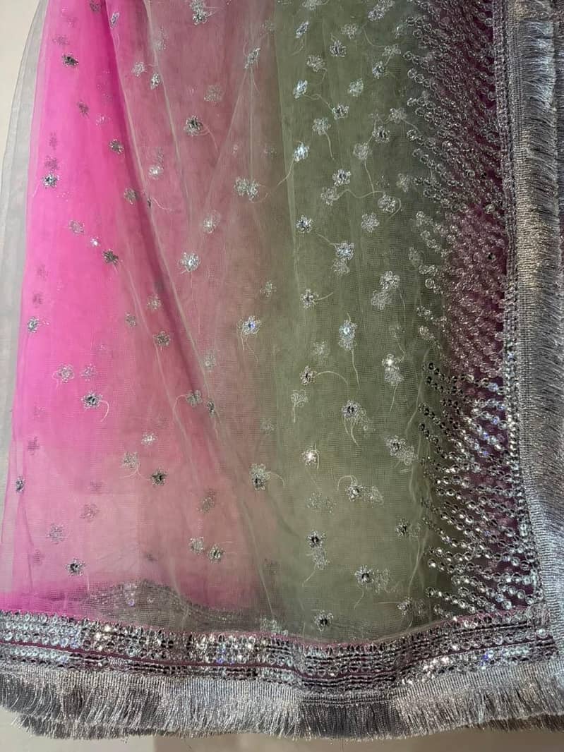 Chiffon 3