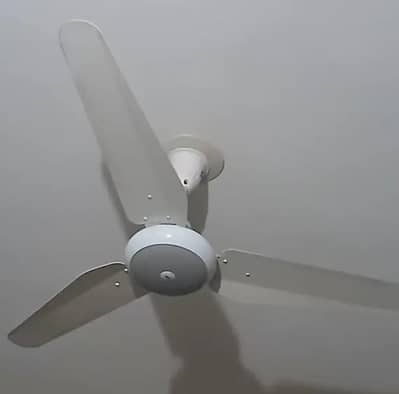 Two used 56" (SK Ceiling Fans) for Sale in only 7500 per each.