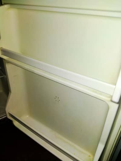 mini Fridge single