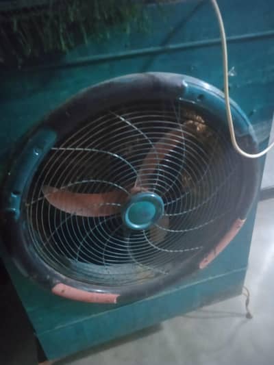 lahori cooler