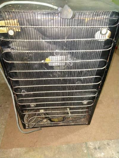 room size Fridge L. G excellent condition