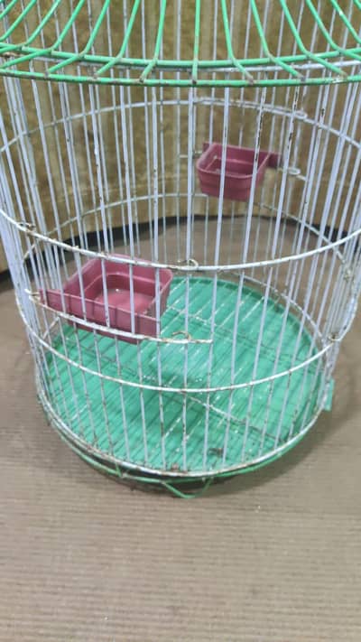 parot
