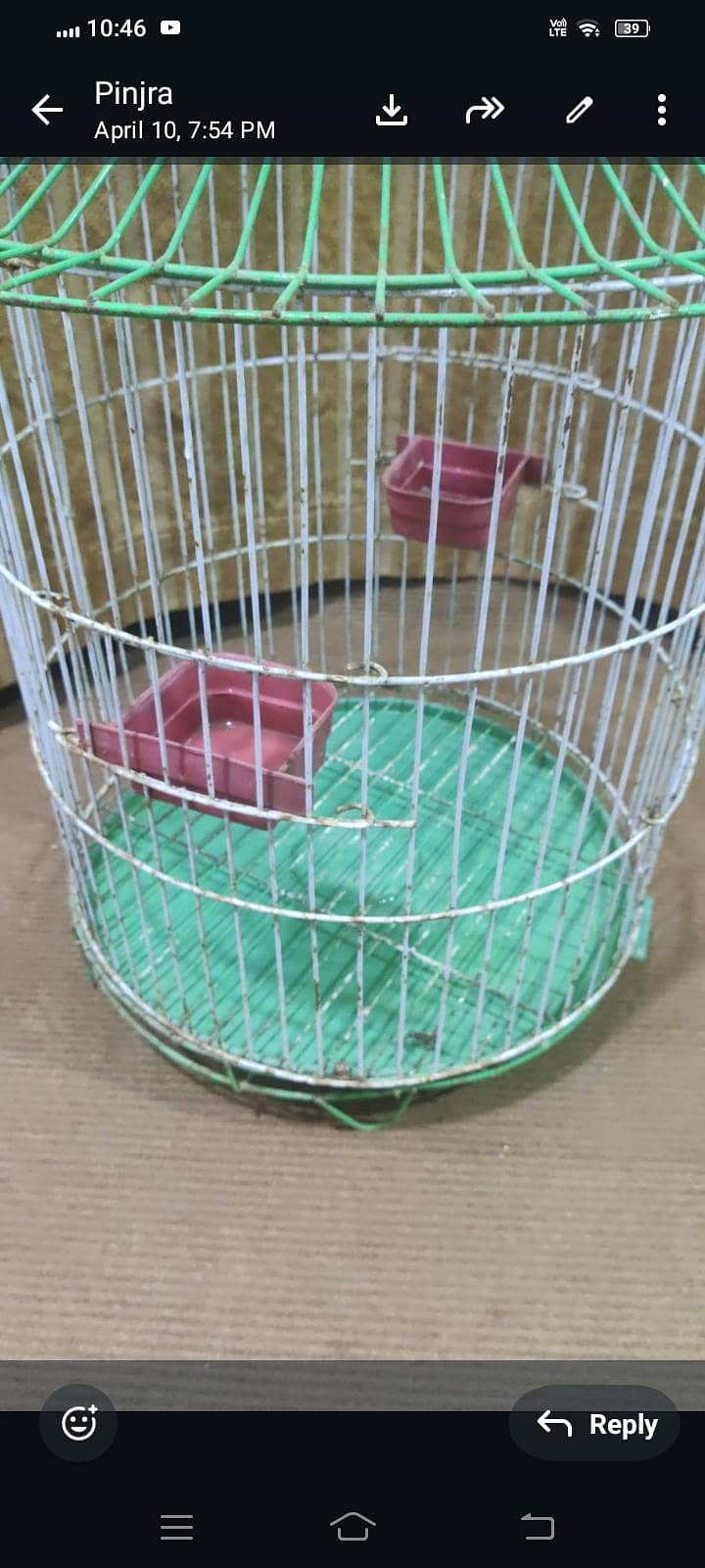 parot 2