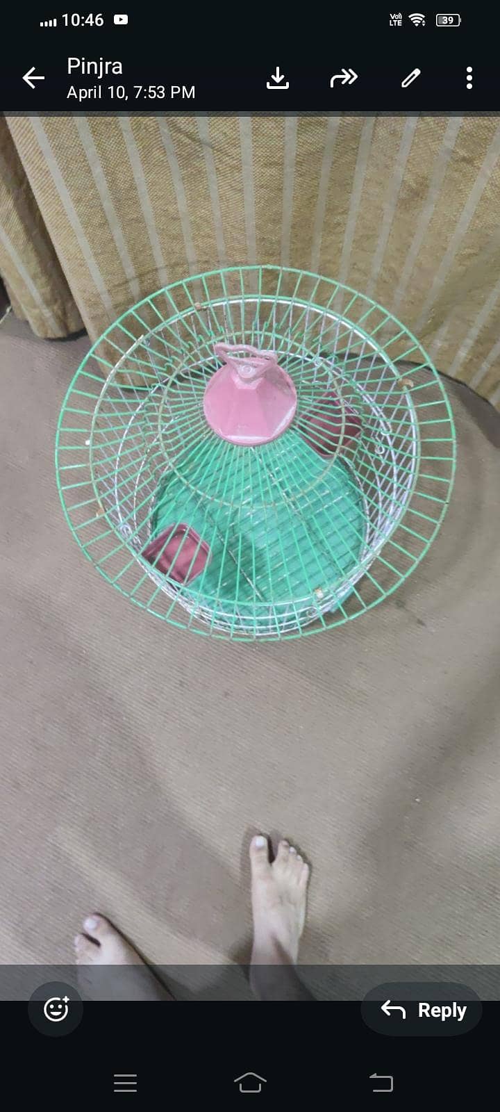 parot 4