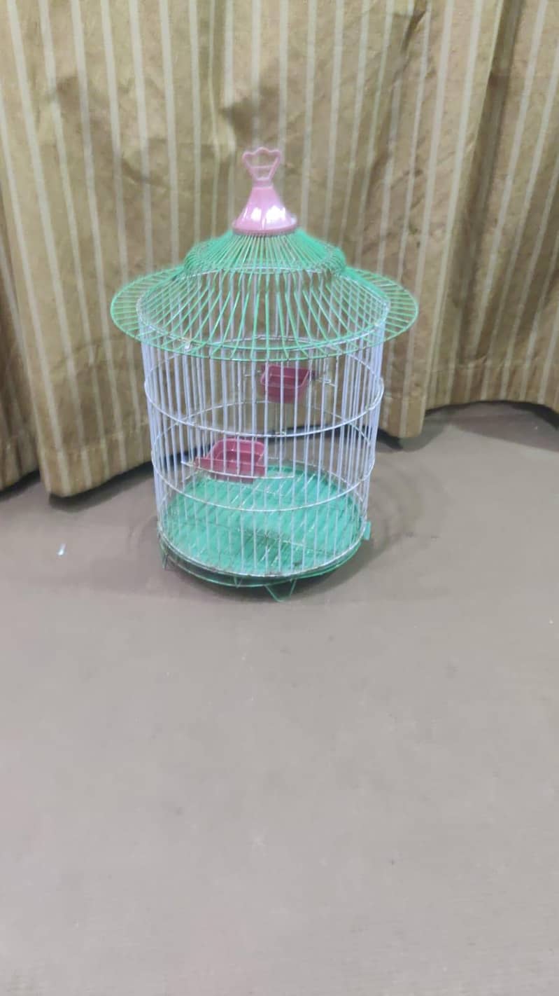 parot 6