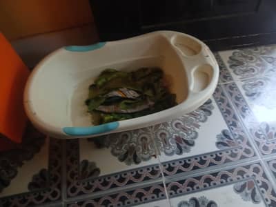 kids tub