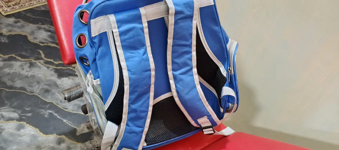 Cat Carrier Bag/Pet travel bag — photo 2