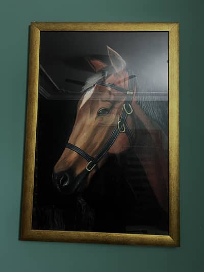 Dark horse