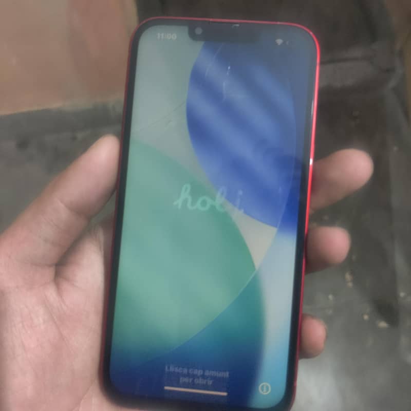 Apple iPhone 13 0