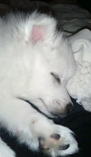 pure female mom pics attach — photo 2