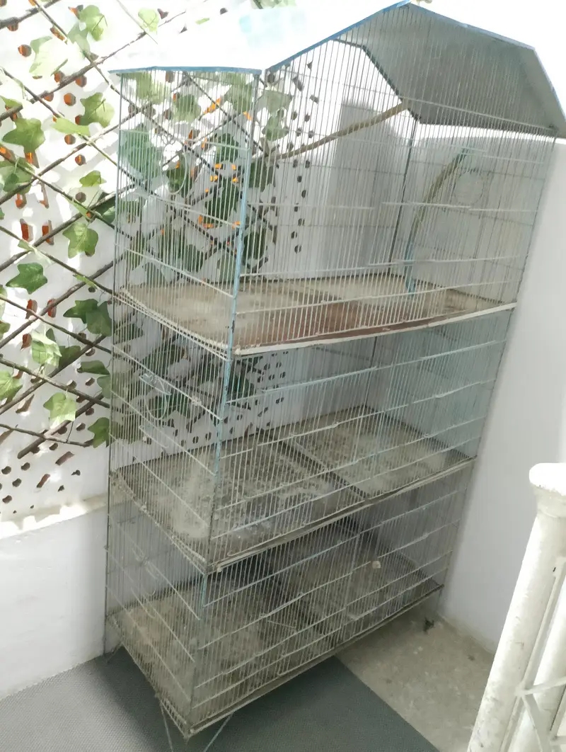 used 5 portion cage — photo 2