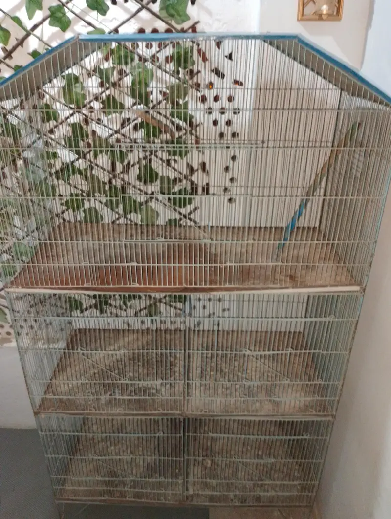 used 5 portion cage — photo 3