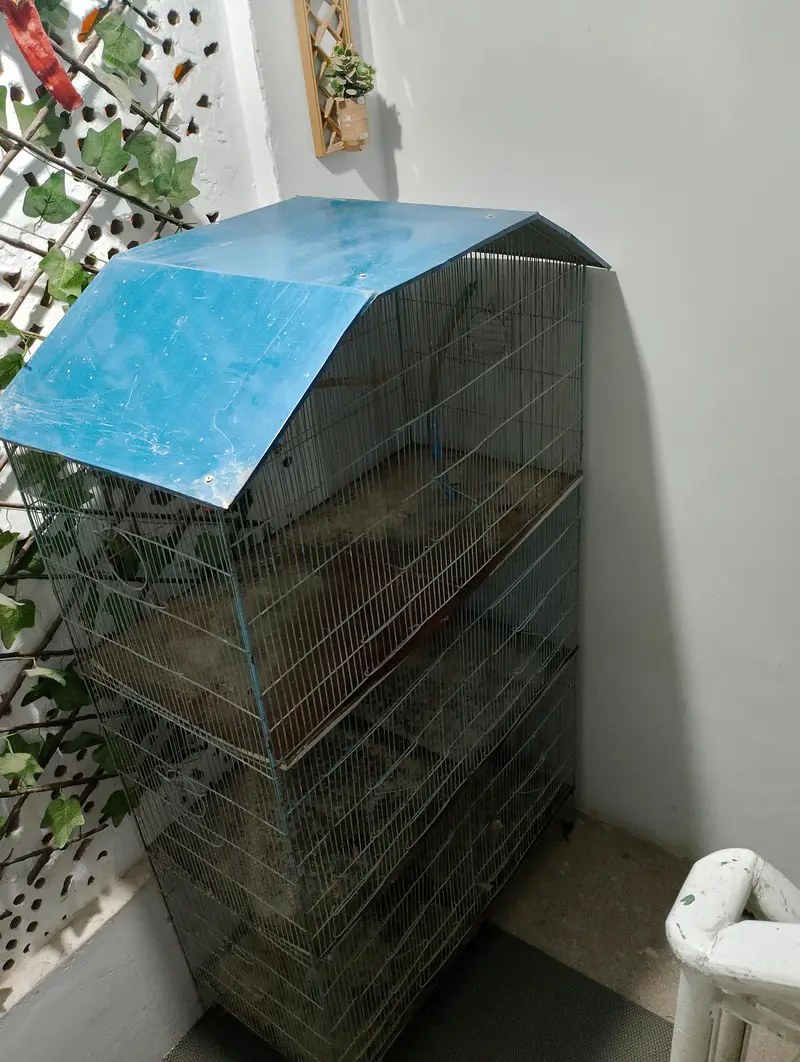 used 5 portion cage — photo 4