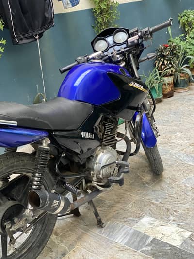 YBR purple color for sale