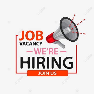 WE ARE HIRING MALES AND FEMALES STAFF FOR ONLINE WORK