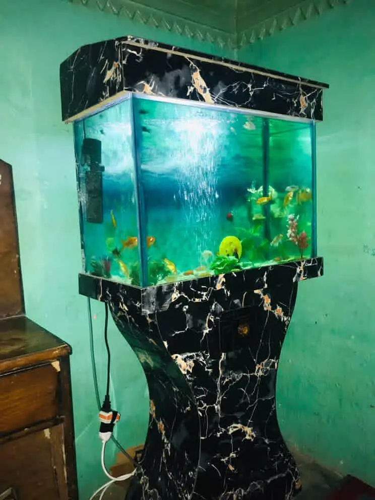 Fish Aquarium for Sale – Good Condition — photo 2